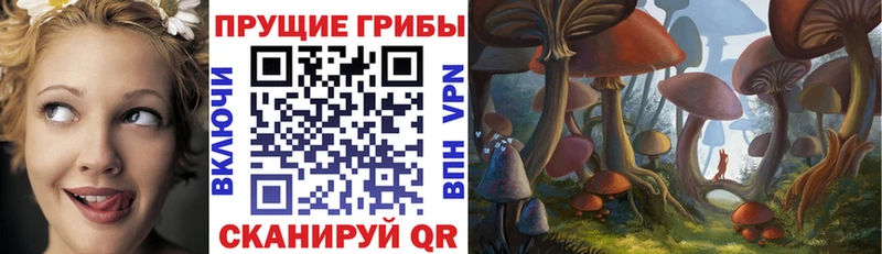 Галлюциногенные грибы MAGIC MUSHROOMS  цена наркотик  omg онион  Мурманск 