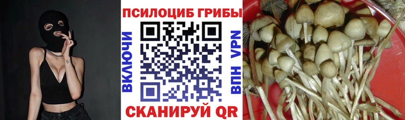 Псилоцибиновые грибы GOLDEN TEACHER Мурманск